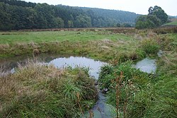 Wetschaft Henzeried 01.jpg