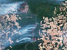 Satellite imaging of 9 September 2024 and shows wildfires along the Xingu River, in the state of Mato Grosso in Brazil.