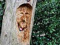 Wooden sculpture in Bursted Wood at Barnehurst.