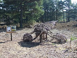 Woodland Patung di Avon Heath Country Park - geograph.org.inggris - 1737579.jpg