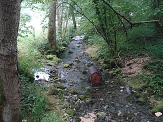 The part of the Wulfbach that rises in the Wulfbachquellhöhle flows towards Mühlheim