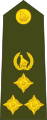 Brigadier (Zimbabwe National Army)[28]