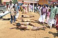 A view of the urul nercha ritual held in connection with the annual festival of the Ashtamudi Sri Veerabhadra Swami temple near Kollam