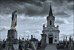 Vignette pour Cimetière catholique de Grodno