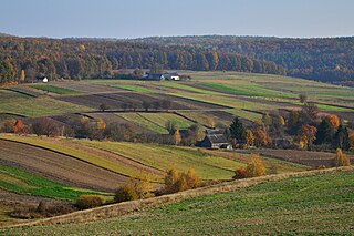 <span class="mw-page-title-main">Derman-Ostroh National Nature Park</span> National park in Ukraine