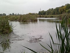 La réserve de Bilovahivskiï classée[5].