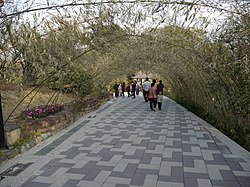 G嘉義n 梅 山鄉 梅山 公園 - panoramio (6) .jpg