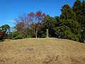 2021年6月6日 (日) 08:56時点における版のサムネイル