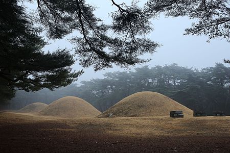 삼릉 소나무숲 (A forest of pine trees surrounding Samleung, the royal tombs)