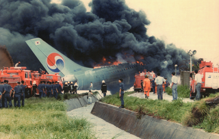 <span class="mw-page-title-main">Korean Air Flight 2033</span> 1994 Airbus A300 crash in South Korea