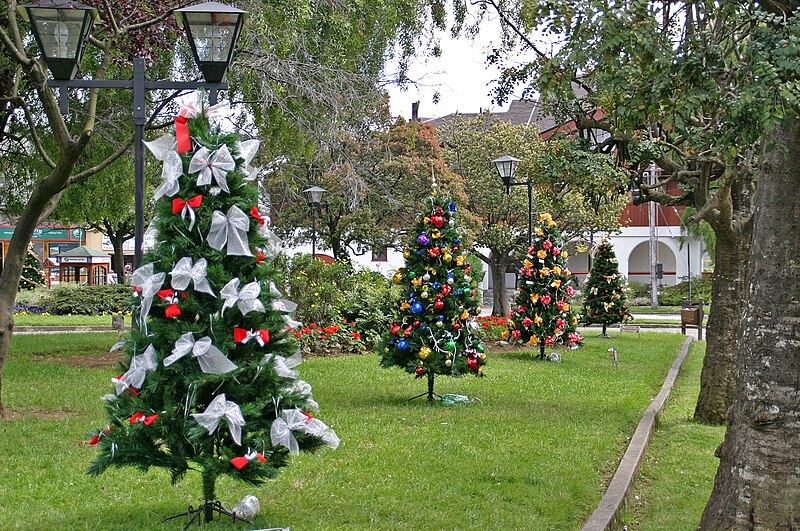 File:00 2689 Castro, Chile - Christmas trees.jpg