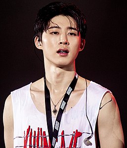 180818 iKON 2018 Continuer la tournée à Séoul 비 아이 01 crop.jpg