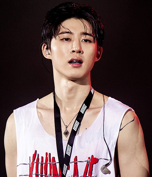 File:180818 iKON 2018 Continue Tour in Seoul 비아이 01 crop.jpg