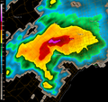 Vignette pour Éruption de tornades d'août 2005 en Ontario