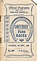 1932 STC CANTERBURY STAKES RACEBOOK P1.jpg