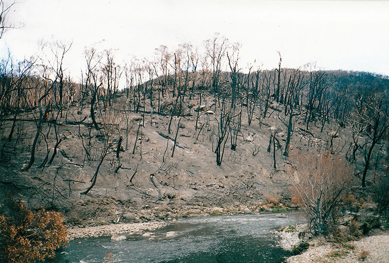 File:2003 Bushfires aftermath, Big River near Anglers Rest.jpg