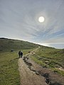 * Nomination Sunset on the Tomales Point Trail --Meiko21 15:20, 22 April 2023 (UTC) * Decline Insufficient quality. Unsharp, blurry, lack of detail, CAs, I don't think this is a sunset. --Milseburg 14:23, 26 April 2023 (UTC)