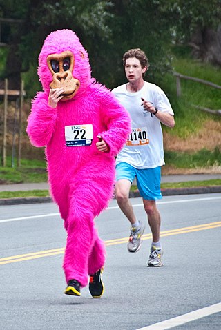 <span class="mw-page-title-main">Bay to Breakers</span> Annual footrace in San Francisco, California