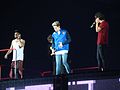 2014 - One Direction "Where We Are" (Sunderland Stadium of Light) One Direction (14352055013).jpg