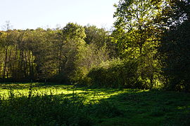 Bocage tra un campo e un bosco.