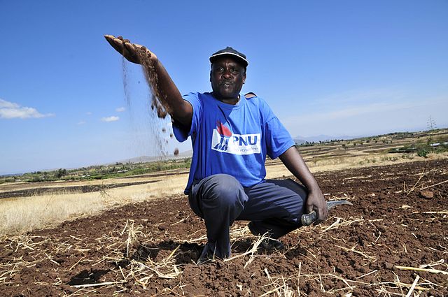 A Kenyan farmer holding tilled soil