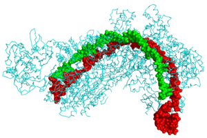 Crispr