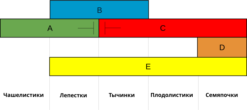 File:AbcdeFlowerSystem.svg