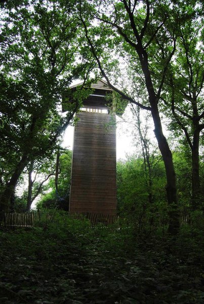 File:Abseiling Tower, West Wood - geograph.org.uk - 1378919.jpg