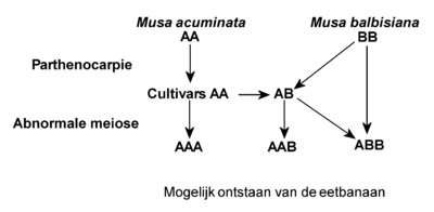 Biologie Hybride: Bastaardering bij planten, Hybriden bij dieren, Zie ook