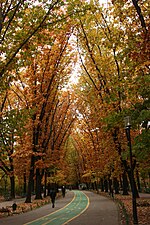 Vignette pour Parc Herăstrău