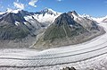 Aletschhorn-Aletschgletscher.jpg