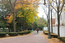 Autumn in the Alewife Linear Park, near the corner of Cedar Street and Massachusetts Avenue, North Cambridge Alewife Linear Park in autumn.JPG