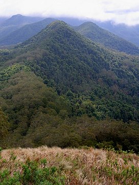 Allyn Berkisar dari Gunung Allyn.JPG