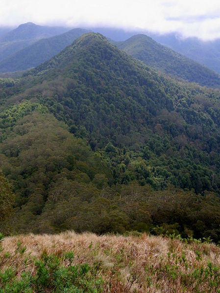 File:Allyn Range from Mount Allyn.JPG