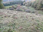 Naturschutzgebiet An der Rösenbecker Burg