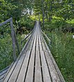 * Nomination Suspension footbridge in Altja, Lahemaa National Park, Estonia --Poco a poco 13:09, 22 May 2019 (UTC) * Promotion  Support Good quality. --Carlos yo 20:40, 22 May 2019 (UTC)