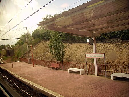 Andenes Ramón y Cajal