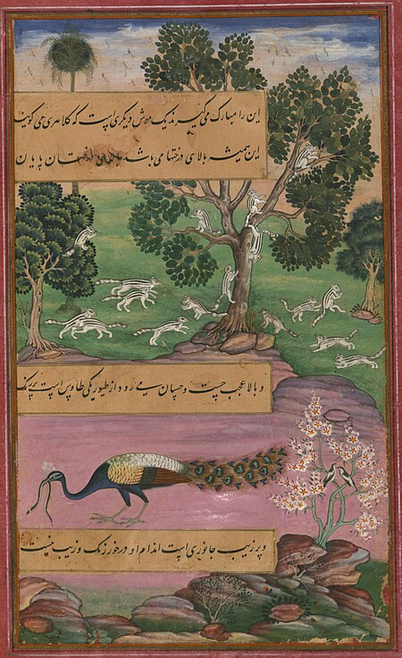 Fail:Animals of Hindustan monkeys, rodents and the peacock, from Illuminated manuscript Baburnama (Memoirs of Babur).jpg