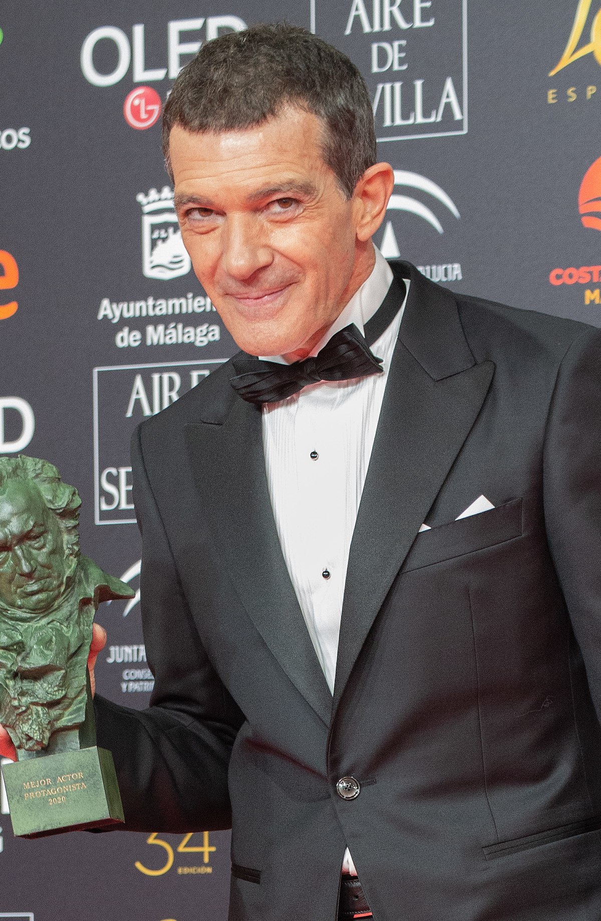 Antonio Banderas usa una barba postiza de 10.000 dólares