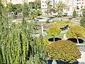 Arboretum, Parque El Pilar