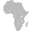 Range of Argyrolobium trifoliatum