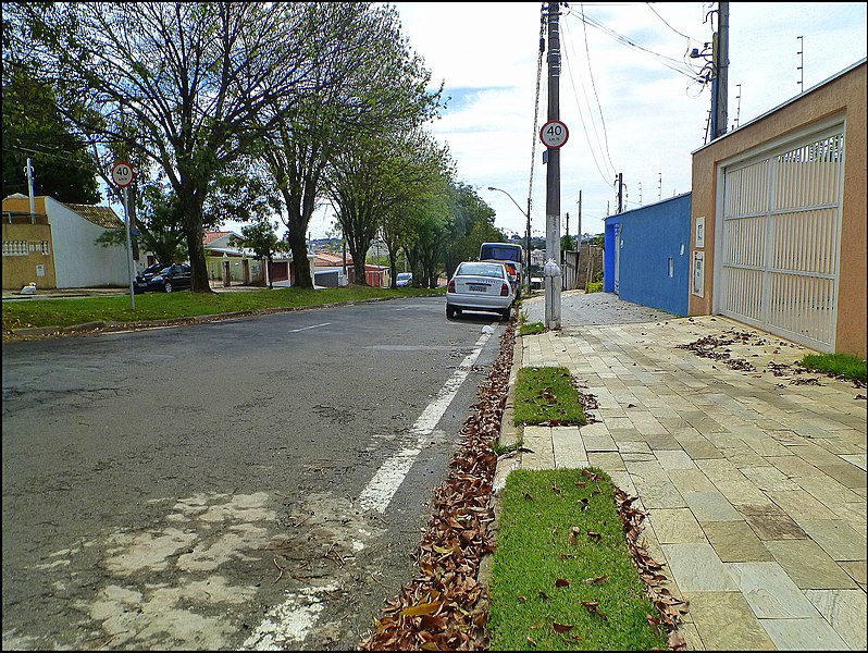 File:Av. Santa Bárbara do Rio Pardo - panoramio (2).jpg