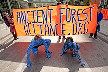 Dos personas pintadas completamente de azul están agachadas frente a un letrero naranja con la inscripción Ancient Forest Alliance.