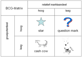 BCG-matrix