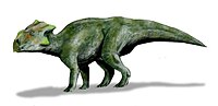 Bagaceratops BW.jpg