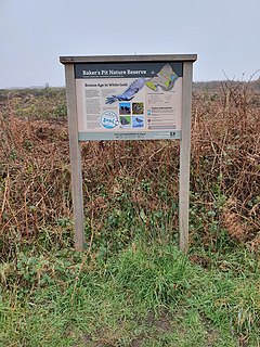 Bakers Pit Nature Reserve Nature reserve in Cornwall