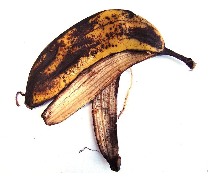 File:BananaSkin.JPG