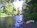 Thumbnail for Bear Creek (Rogue River tributary)