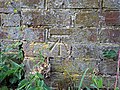 wikimedia_commons=File:Benchmark, wall, Actons Farm, Bexhill.jpg