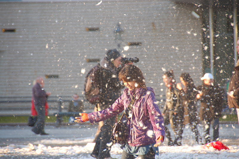 File:Berlin pillow fight day 2011 Stepro 07.jpg